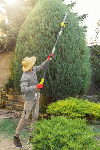 Altamont, NY Tree Services Company